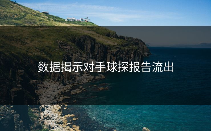 数据揭示对手球探报告流出