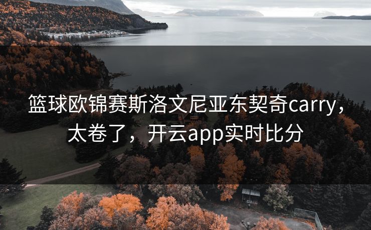 篮球欧锦赛斯洛文尼亚东契奇carry，太卷了，开云app实时比分